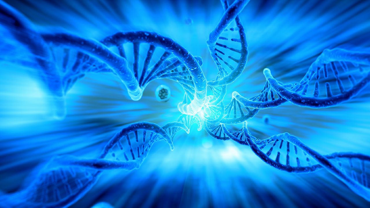 Fotolia_105336006_M