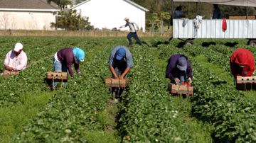 UNM to honor agricultural industry