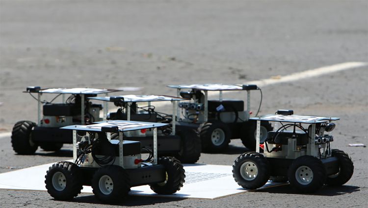 Swarmathon