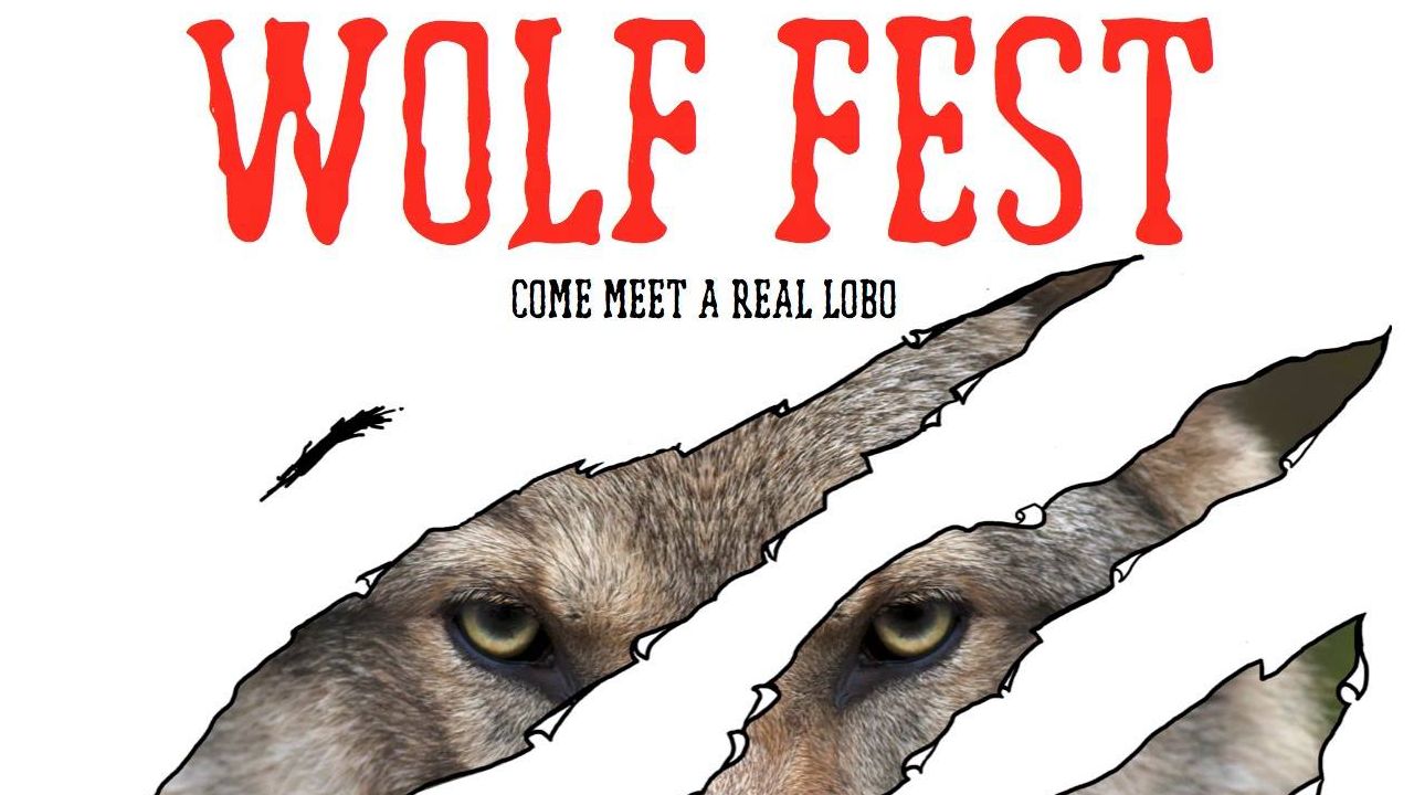 Wolf Fest 2017