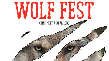 Meet a real Lobo
