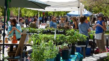 Sustainability Expo set for April 20