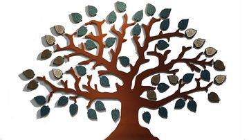 Nominations open for Clauve Outstanding Senior Awards 