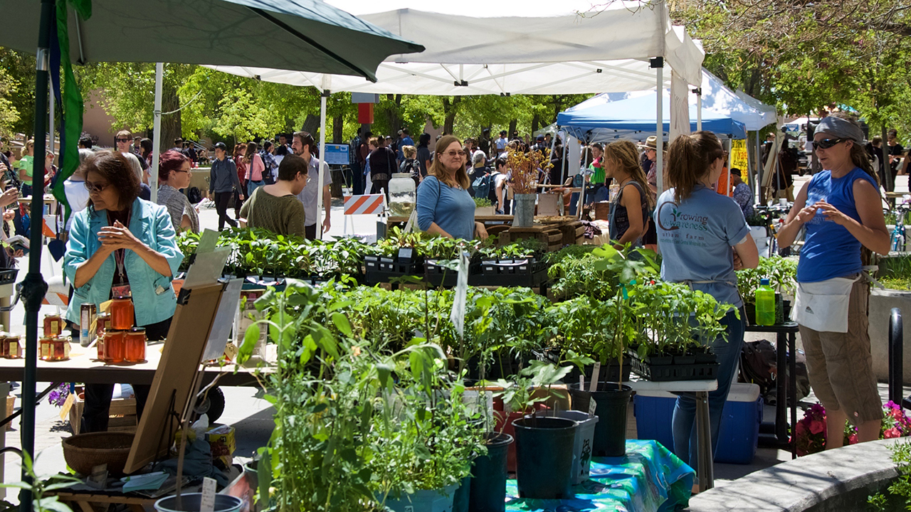 Sustainability Expo