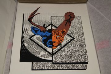 IMG_8887