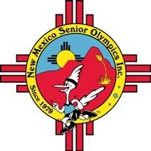NMSO logo