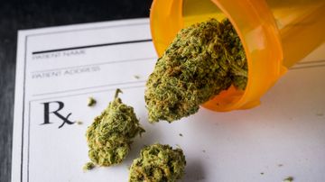 thc and tirzepatide Cannabis offers immediate relief from symptoms of nausea, but product use  matters