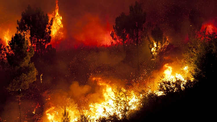 Fire Supression