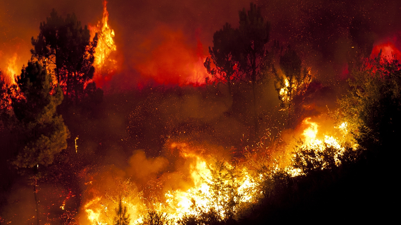 Fire Supression