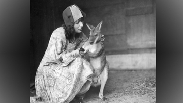   Exotic animals and the hunt for gold