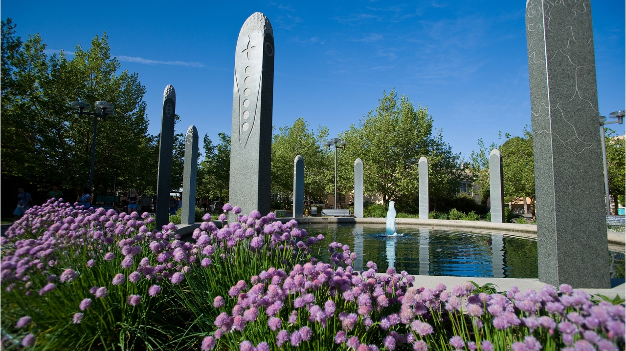 The University of New Mexico