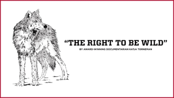 Keeping the Mexican Gray Wolf alive