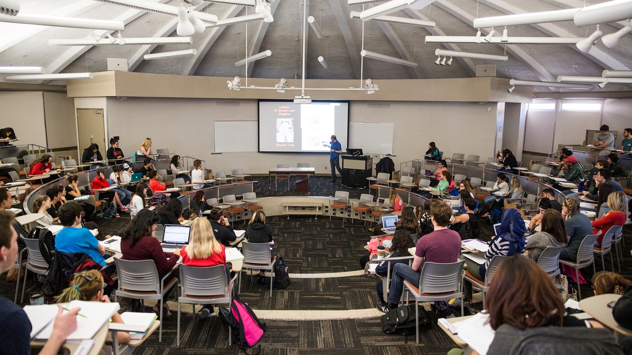 UNM moves closer to Common Course Numbering | UNM UCAM Newsroom