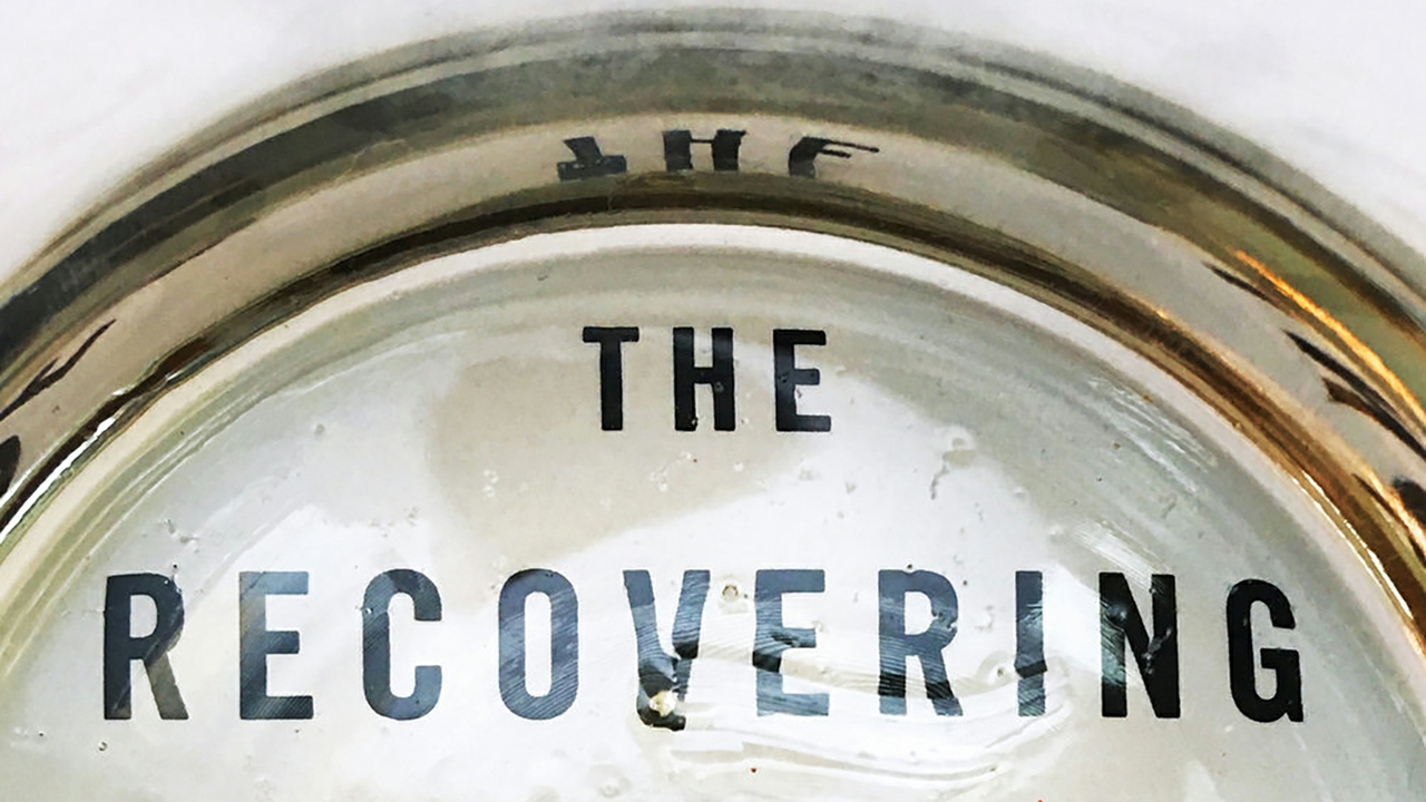 The Recovering book jacket