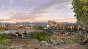 UNM researcher explores influence of ancient humans on mammal body size