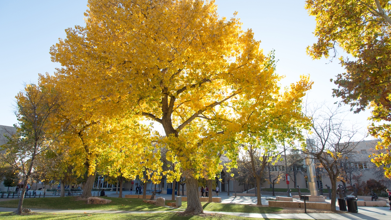 Arbor Day