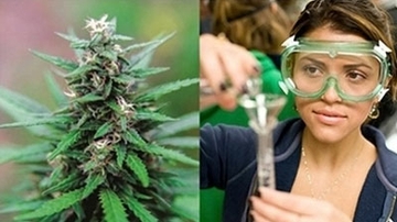 Local community stands together to fund medical Cannabis research