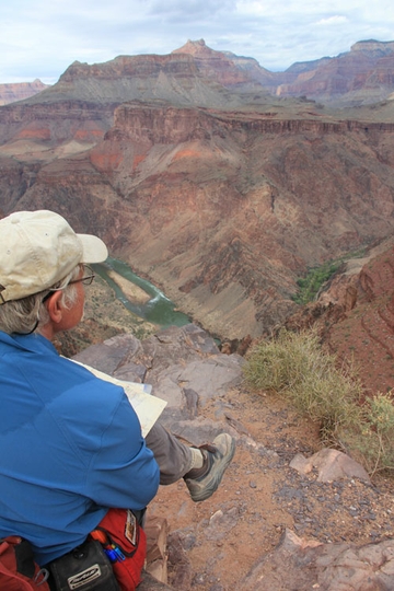 Basal sheet sands of the Tapeats Sandstone 