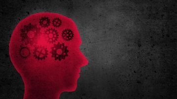 Mysteries of the mind: unlocking clues of cognitive dysfunction risk & mental disorders