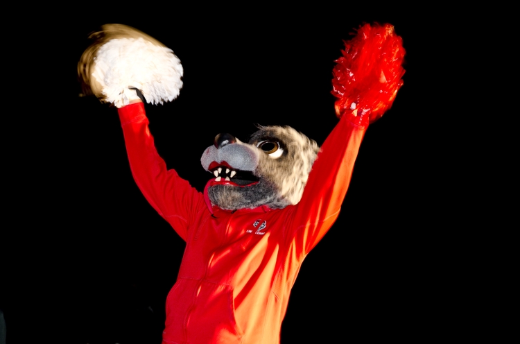 Red Rally