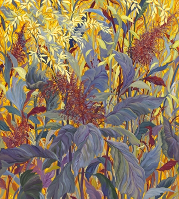 Jane Abrams - Amaranth