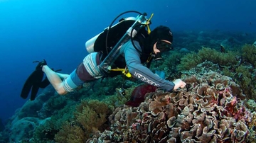 UNM scientist studies coral reefs in South Pacific