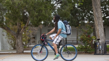 Research shows more bikes equal safer roads for all