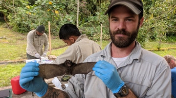 Research looks at virus past to predict future outbreaks
