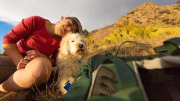 The growing trend of Emotional Support Animals