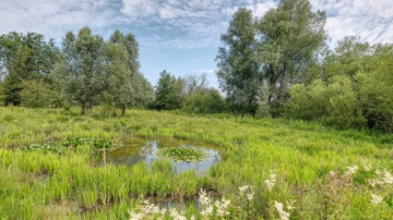 Environmental Data Initiative receives second NSF grant