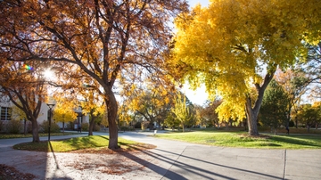 UNM plans for end of fall semester, spring term