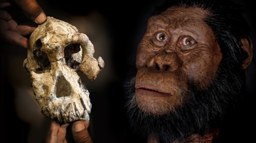 Anthropology grad will discuss finding career outside academia