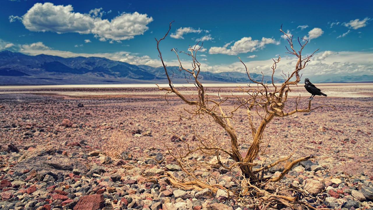 Endangered resource