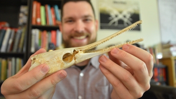 New research explores how fish became a bigger part of pueblo people's diet
