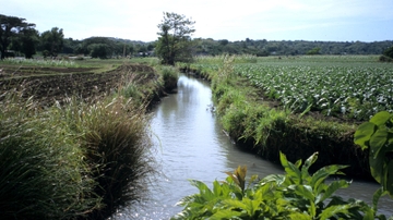 UNM's Rivera publishes book about Filipino irrigation system