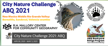 Screenshot_2021-04-19 City Nature Challenge 2021 ABQ 2