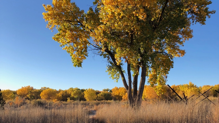 Community Geography series