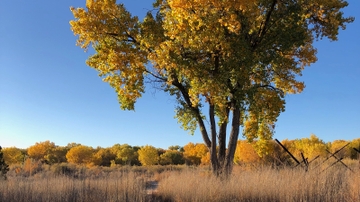 Center for Community Geography hosts Geography colloquium, Q&A 