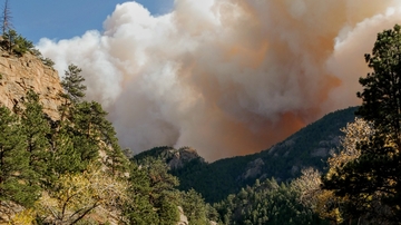 New report: State of the science on western wildfires, forests and climate change