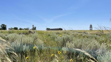 UNM postdoctoral fellow of Anthropology awarded two prestigious grants