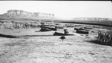 Research delves into role of turkeys to Ancestral Pueblo peoples