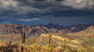 Symposium will examine border crossing solutions