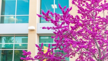 Registration for UNM's 2023 spring semester begins on Nov. 7
