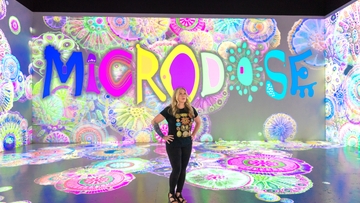UNM alumna collaborates with local venue to bring new immersive art show to life