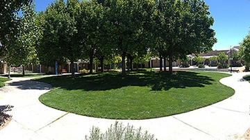 DOE selects UNM Children's Campus for a CCAMPIS grant with significant funding increase