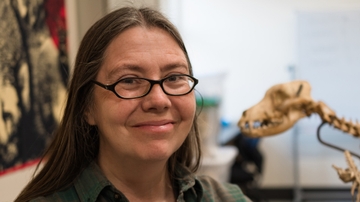 Book examines archaeological record of human impact on environments
