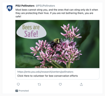 thumbnail_bees are safe_mockup preliminary