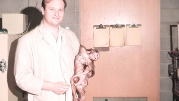 A search for answers in ethics: where animals fit in