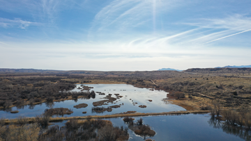 Drones for Ducks: Researchers develop AI to measure migratory bird populations