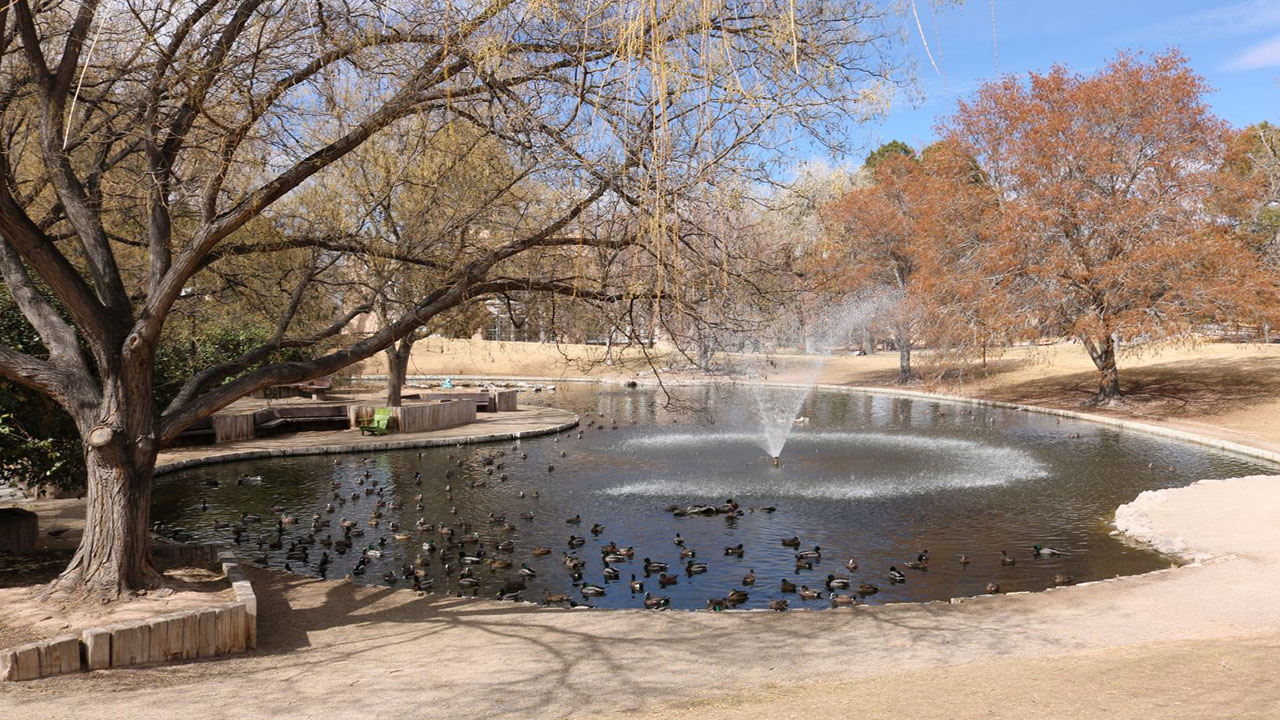 Duck Pond Cleaning
